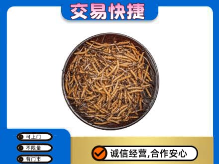 邢台市广宗回收散虫草